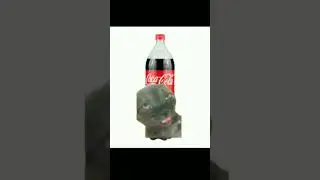 #котики