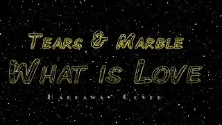 What Is Love - Tears & Marble (Haddaway Cover)