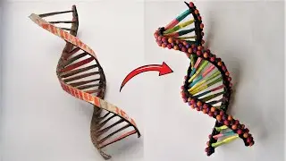 Cardboard DNA Model Project