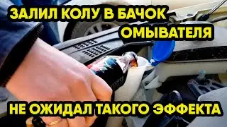 Добавляю колу в бачок омывателя каждый год. Даже не ожидал такого эффекта.