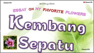 Kembang Sepatu Flower | Essay On Kembang Sepatu Flower | My Favorite Flower Kembang Sepatu Essay