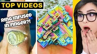 Things That Happen Once in a Lifetime | SSSniperWolf