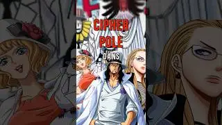 Le cipher pole dans one piece 
