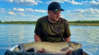 CARPFISHING 48 hours! Fishing with an overnight stay at a new reservoir: catching carp and grass ...