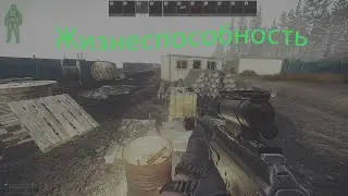 Escape From Tarkov. Как прокачать жизнеспособность? Патч 0.12.9.