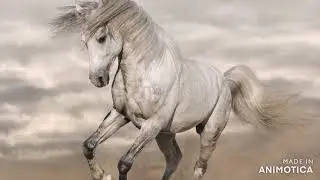 Толя Баленгиро