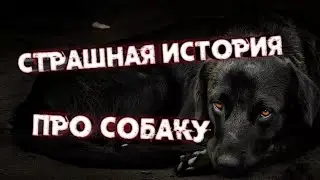 Страшная история про собаку | страшная история | Страшные рассказы | ужасы для сна