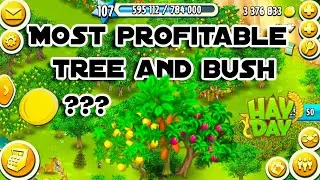 Hay Day Most Profitable Tree/Bush! How to make coins fast!🤩