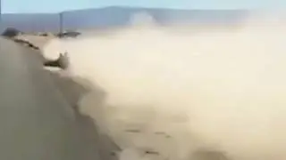 Звер(1)