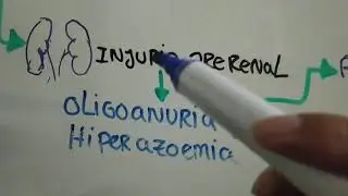 fisiopatología de la sepsis (parte final)