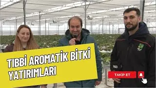 MEDICAL AROMATIC HERBS INVESTMENTS | MEDICAL AROMATIC HERBS