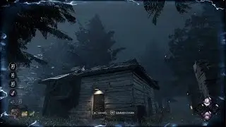 One day bhvr will solve this issue -Dead by daylight