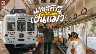 แค่ 1 ชม.จากโอซาก้า! Wakayama เมืองตากอากาศริมชายฝั่งของญี่ปุ่น | VLOG