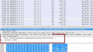 NetSim Simulation: Packet capture & analysis using Wireshark