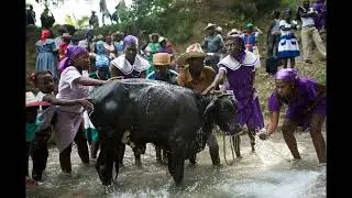 Simbi Racine Mapou