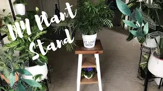 DIY Plant Stands