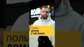 Какие полы и питомцы у нашего любимого сотрудника?