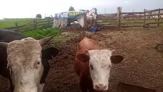Вторая скважина в ручную готова
