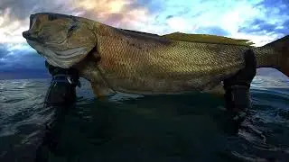 Pesca Submarina - Jose Pontón Asturias 2021