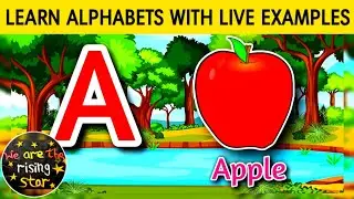 Learn Alphabets with live examples | a to z | Alphabet | WATRstar