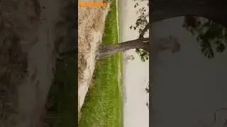 bhole ki mahima  #ytshorts #nature #storm #mahadev #trending