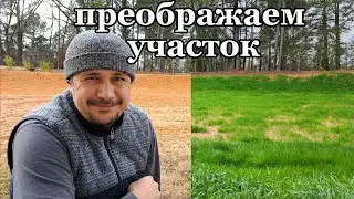Обустройство двора, приятный сюрприз после отпуска