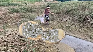The girl was lucky to collect the huge white pearls produced by shells, so beautiful