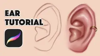 Ear Tutorial In Procreate | Procreate Tutorial For Beginners