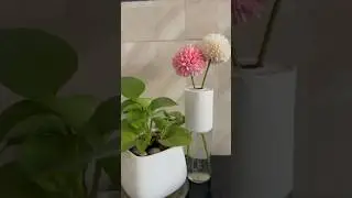 DIY vase ✨Flower vase making at home❤️Cement vase with glass bottle #bestoutofwastecraftidea