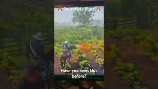 Red Dead Redemtion 2 - Southland Flats Fire - Hacked Lobby? #roadto2k #rdr2 #pcgaming  #hacker