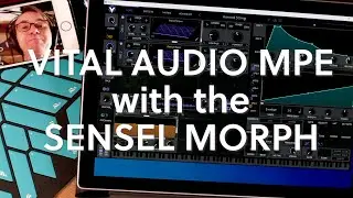 Getting Started with the Sensel Morph and Vital Synthesizer MPE