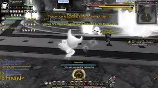 DN SEA - Weekly Nest + EFM 24 09/28/24