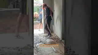 #reaction #like #dog #pestcontrol #termitetreatment #youtube