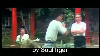 Jackie Chan   Kung Fu Tribute 2