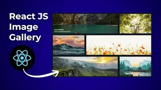 Build an Animated Image Gallery with React, Framer Motion & Tailwind CSS