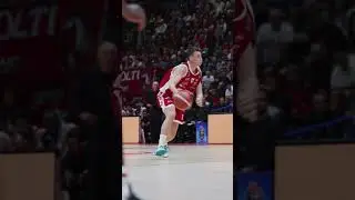 Dimitrijevic vs Brescia
