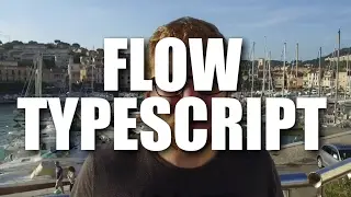 Flow/TypeScript