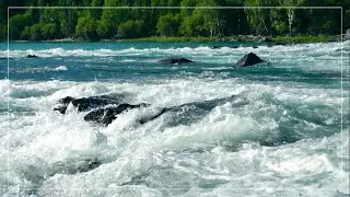 Water is essential for life!