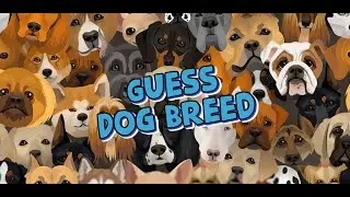 Guess The Dog Breed Trivia Game