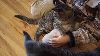 VID 20211113 103407