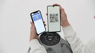 What is the 