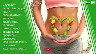 ДАЙДЖЕСТ Тяньши