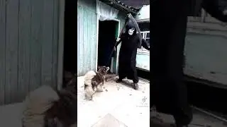 Смерть с косой