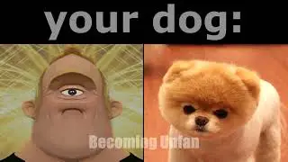 Mr Incredible One Eye Becoming Canny (POV: Your Dog)
