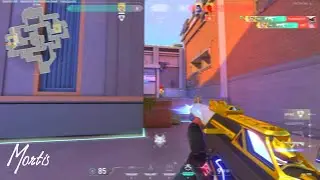 Blueberry Faygo | Mixed Montage