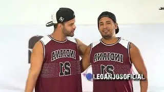 Tiago brava - Dona mari