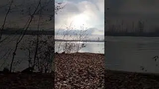 Burnaby Fraser Foreshore Park Picnic Areas