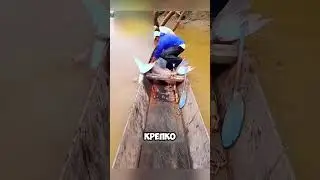 This is where such fish are found 🤯😱