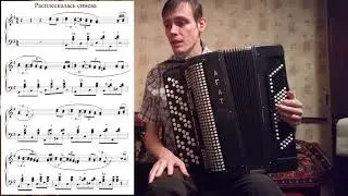 Расплескалась синева разбор на баяне Урок#64