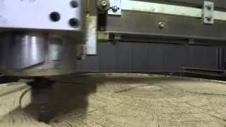 Cutting a table out of a Tree